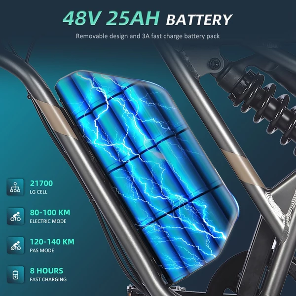 FAFREES F20 ULTRA elektromos kerékpár, 20*5 hüvelykes zsírgumi, 750 W-os kefe nélküli agymotor - Fekete és szürke