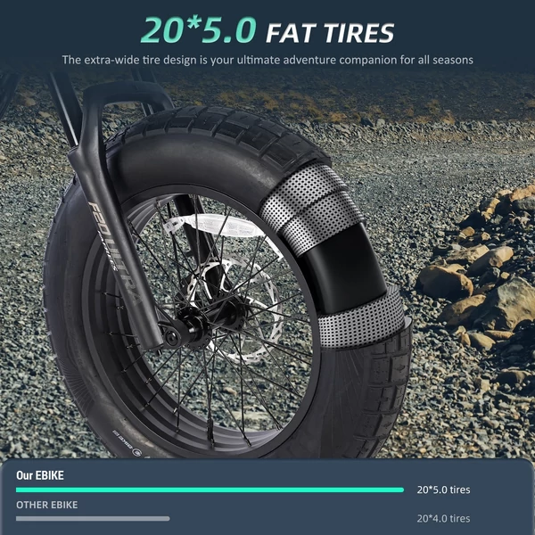 FAFREES F20 ULTRA elektromos kerékpár, 20*5 hüvelykes zsírgumi, 750 W-os kefe nélküli agymotor - Fekete és szürke