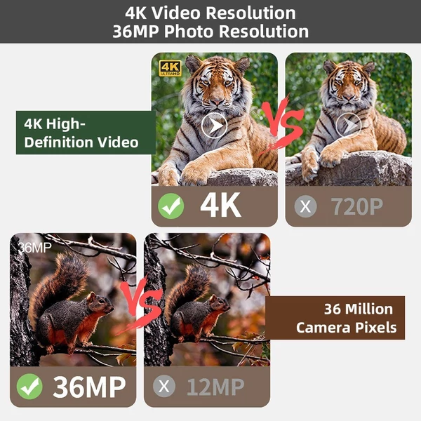 Színes éjjellátó távcső, digitális infratávcső 10-szeres optikai zoommal vadászathoz