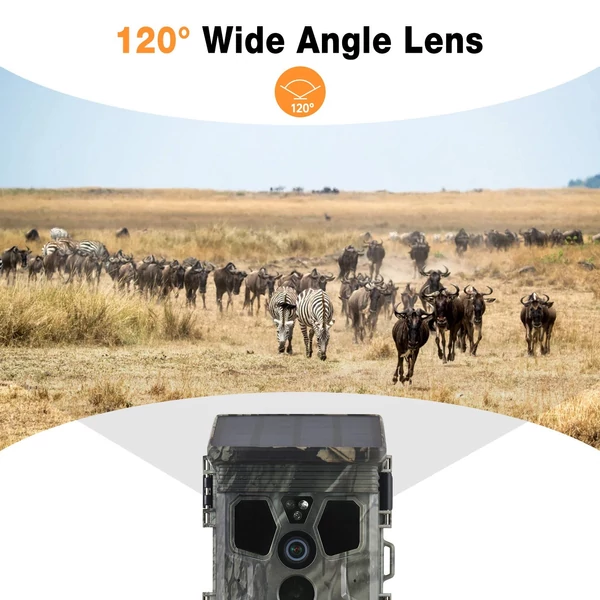 4K 50MP napelemes vadkamera, 120°-os látószög, éjjellátó, IP65 vízálló, vadfigyelő kamera természetmegfigyeléshez