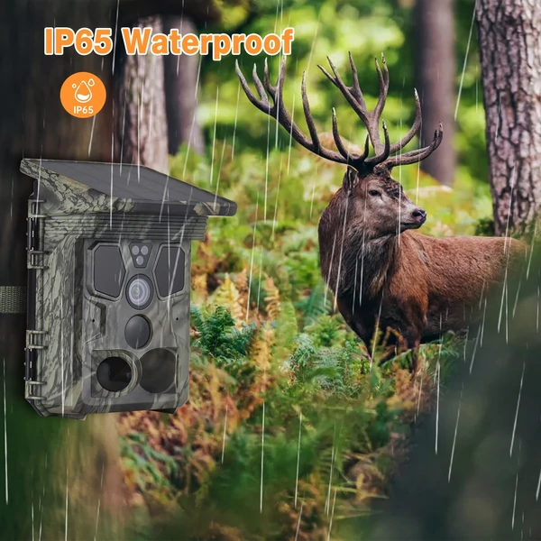 4K 50MP napelemes vadkamera, 120°-os látószög, éjjellátó, IP65 vízálló, vadfigyelő kamera természetmegfigyeléshez