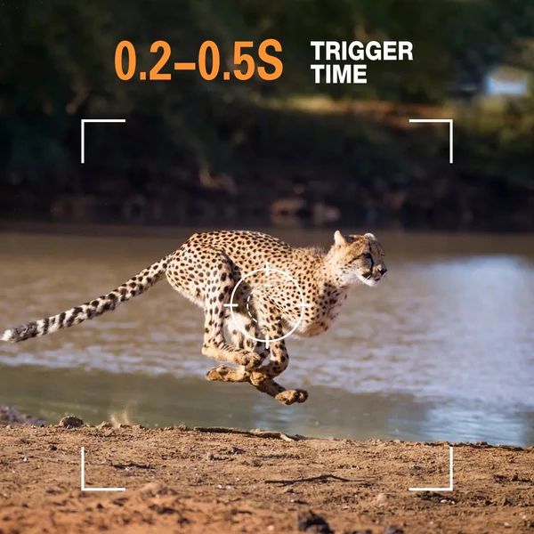 4K 50 MP vadkamera éjjellátó mozgásérzékelős IP65 vízálló vadász kamera