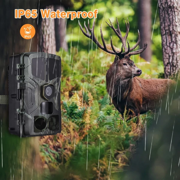 4K 50 MP vadkamera éjjellátó mozgásérzékelős IP65 vízálló vadász kamera
