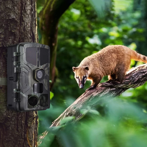 4K 50 MP vadkamera éjjellátó mozgásérzékelős IP65 vízálló vadász kamera