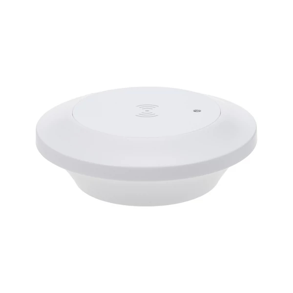 Emberi jelenlét-érzékelő, mozgás- és testhelyzet-detektor, BT5.0, 2.4GHz WiFi, hub nélkül működik - 2-es típus