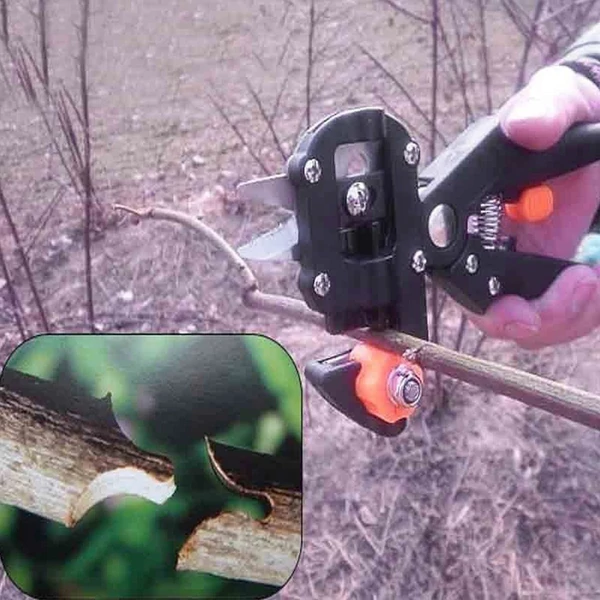 Oltó- és metszőszerszám készlet gyümölcsfákhoz – profi kertészeti szett