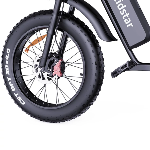 Ridstar Q20 elektromos kerékpár 1000W motorral, 20x4.0 fat tire, 48V 20Ah kivehető akkumulátor, 48 km/h, 120 km hatótáv