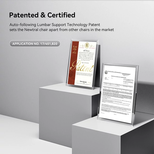 NEWTRAL NT002 ergonomikus irodai szék lábtartóval, fejtámlával, adaptív deréktámasszal és 4D kartámasszal – Szürke