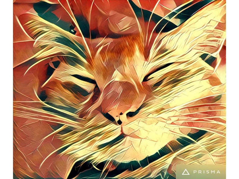 Prisma - Androidon is új dimenziókat nyit fényképeid előtt!