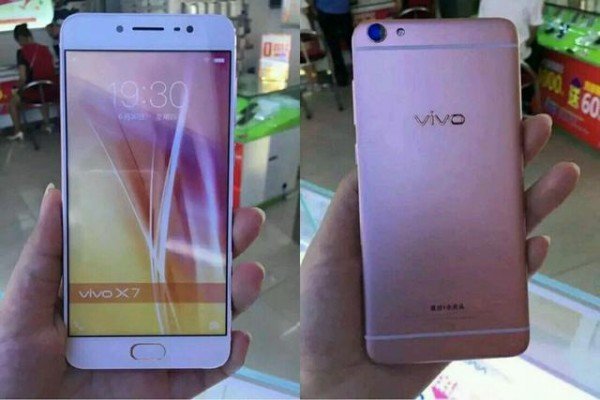 vivo 01.cms