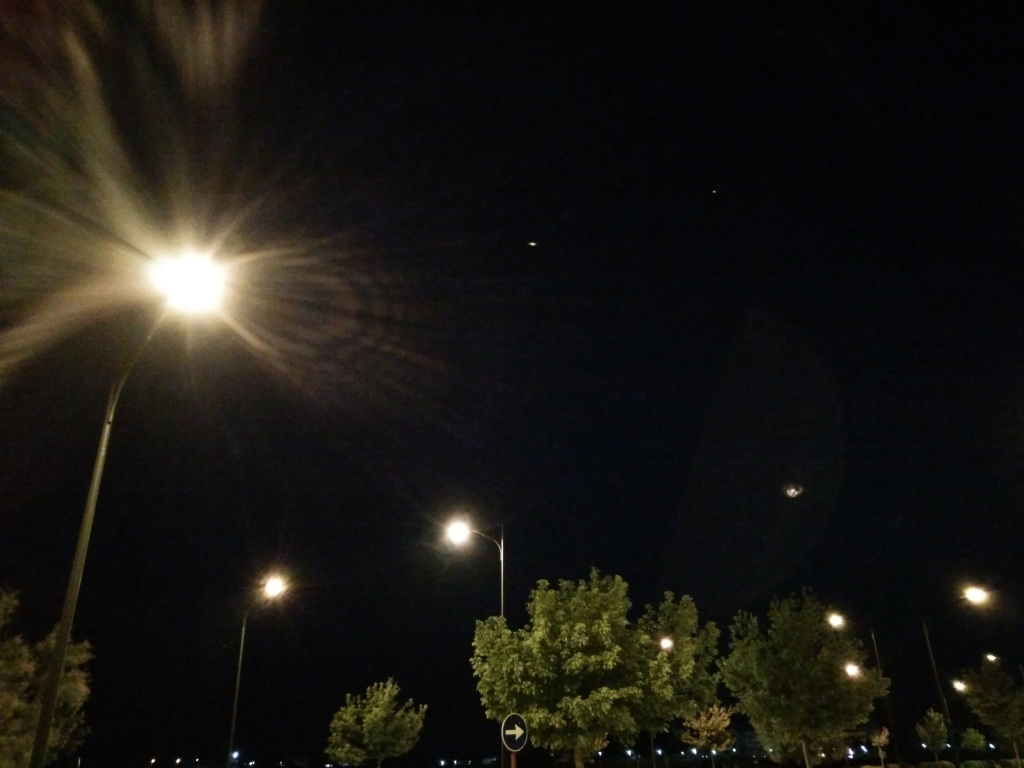 vivoestifoto1