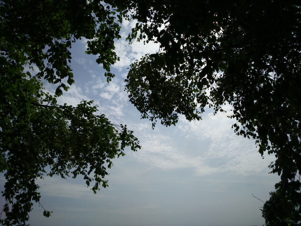 vivonappalifoto1